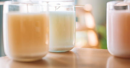 Soy wax candle and materials arranged for an educational wax guide.