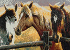 Pasture Companions Diamond Painting showcasing four lifelike horses in warm colors and textures.