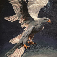 Stunning Nightfall Hunter Diamond Painting featuring a bald eagle in flight over water.