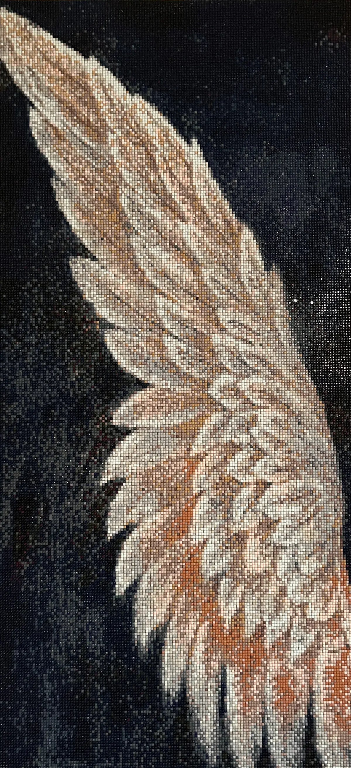 Close-up diamond painting canvas of a beige, cream, and copper feathered wing against a black background