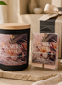 Plumeria Veil Candle + Wax Melt Gift Set