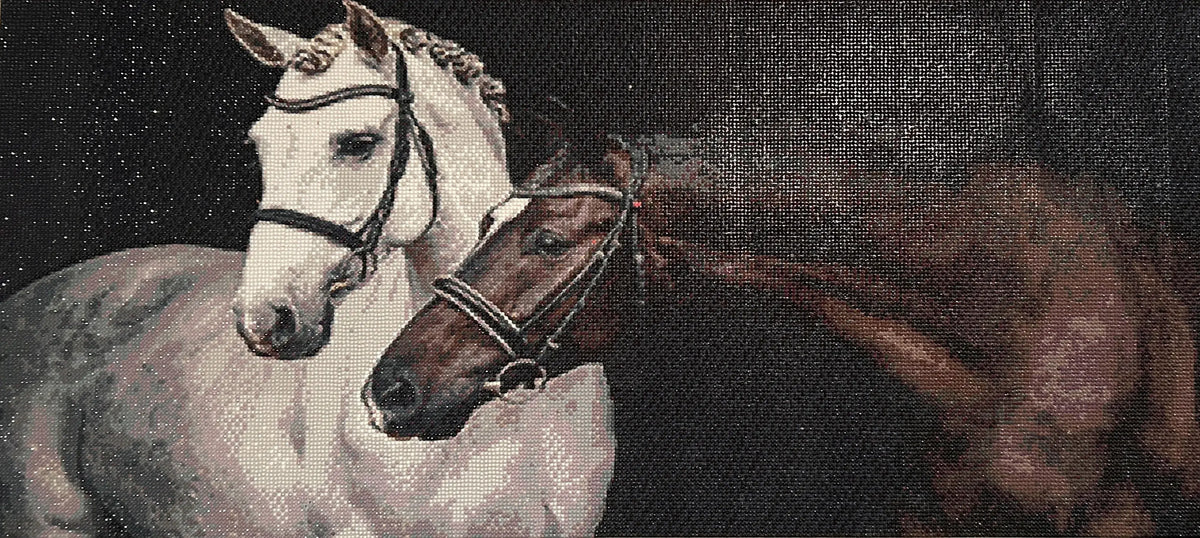 Close-up diamond painting of two bridled horses: white-gray horse with braided mane at left and brown horse at right on a dark, sparkling background.