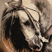 Wildmane Portrait Diamond Painting featuring a stunning horse with intricate details and vibrant colors.