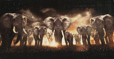 Majestic March Diamond Painting features a stunning sunset scene with a herd of elephants.