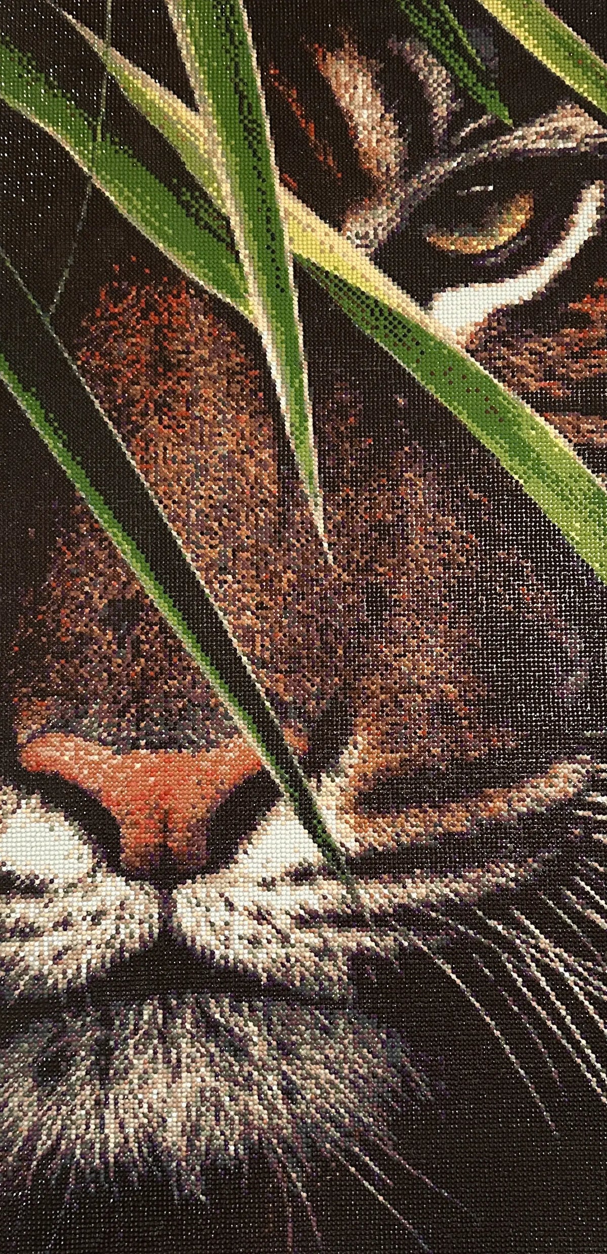 Hidden Tiger Diamond Painting close-up of a tiger's face partially hidden by grass.